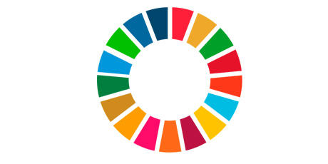 FNS bærekraftsmål